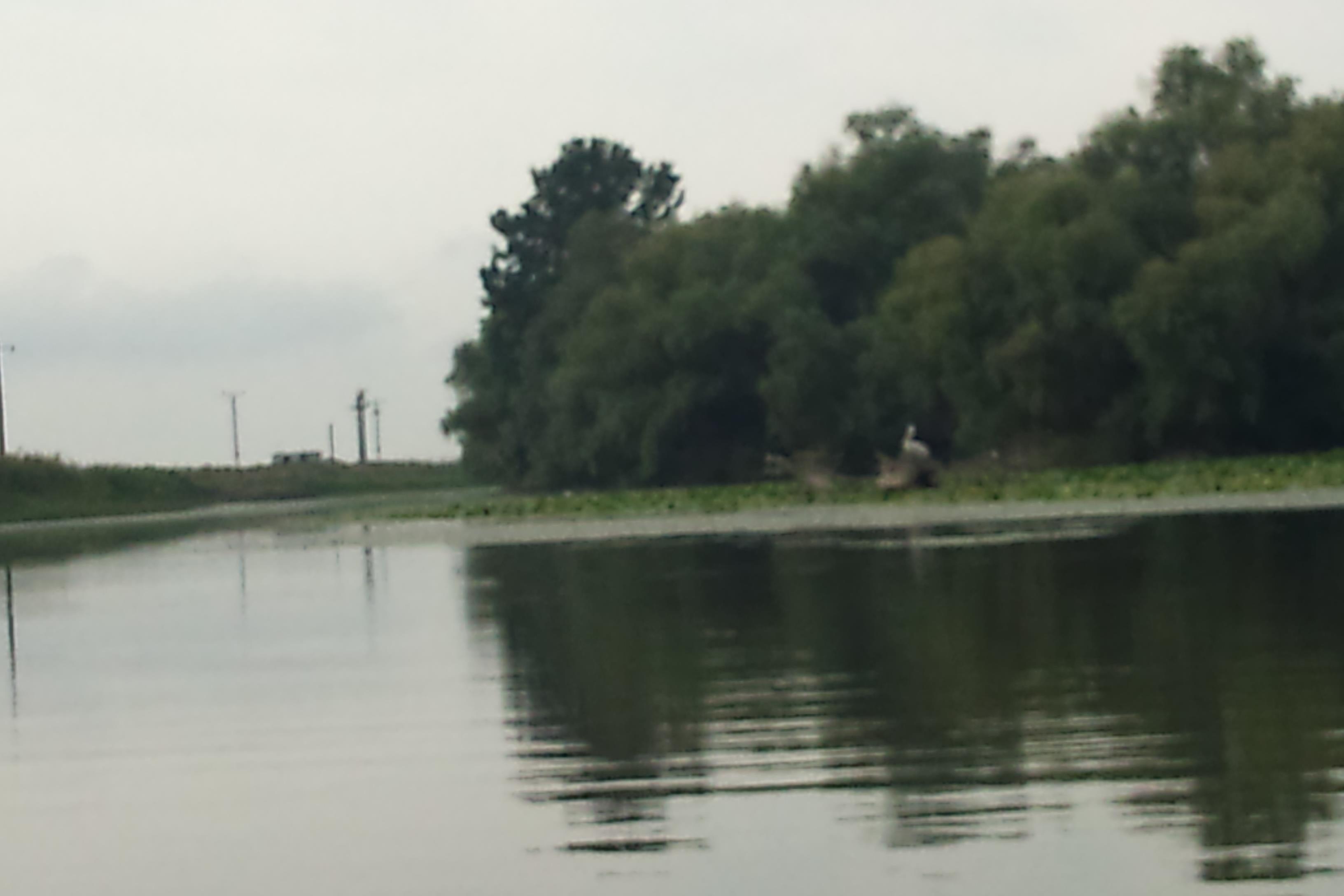 DELTA 2011  MILA 23 - DSC00171.JPG